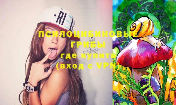эйфоретик Богданович