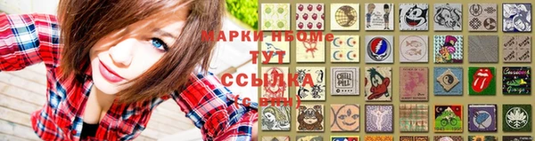 mdpv Богородицк