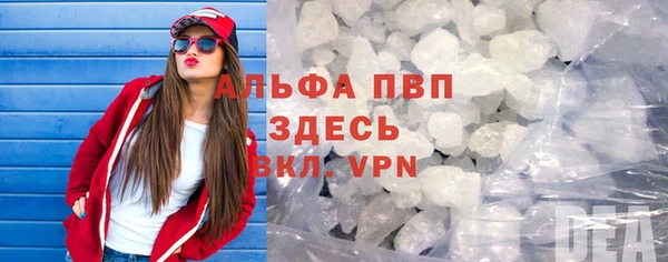 эйфоретик Богданович