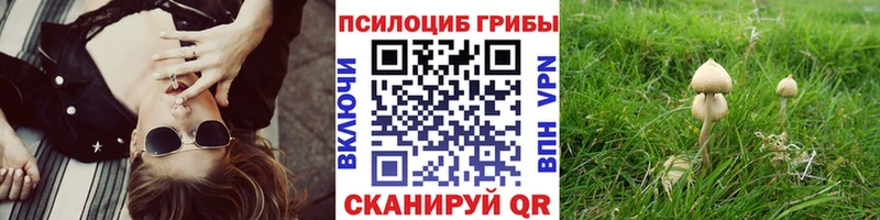 OMG как войти  Александровское  Галлюциногенные грибы ЛСД  закладки 
