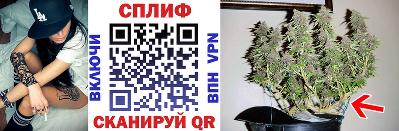 Конопля план Александровское